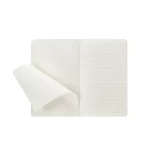 Ръка, държаща тетрадка Moleskine Cahier Large A5 в розов цвят