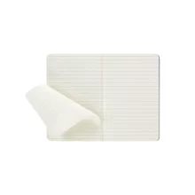 Зелена тетрадка Moleskine A6 с изчистен и модерен дизайн